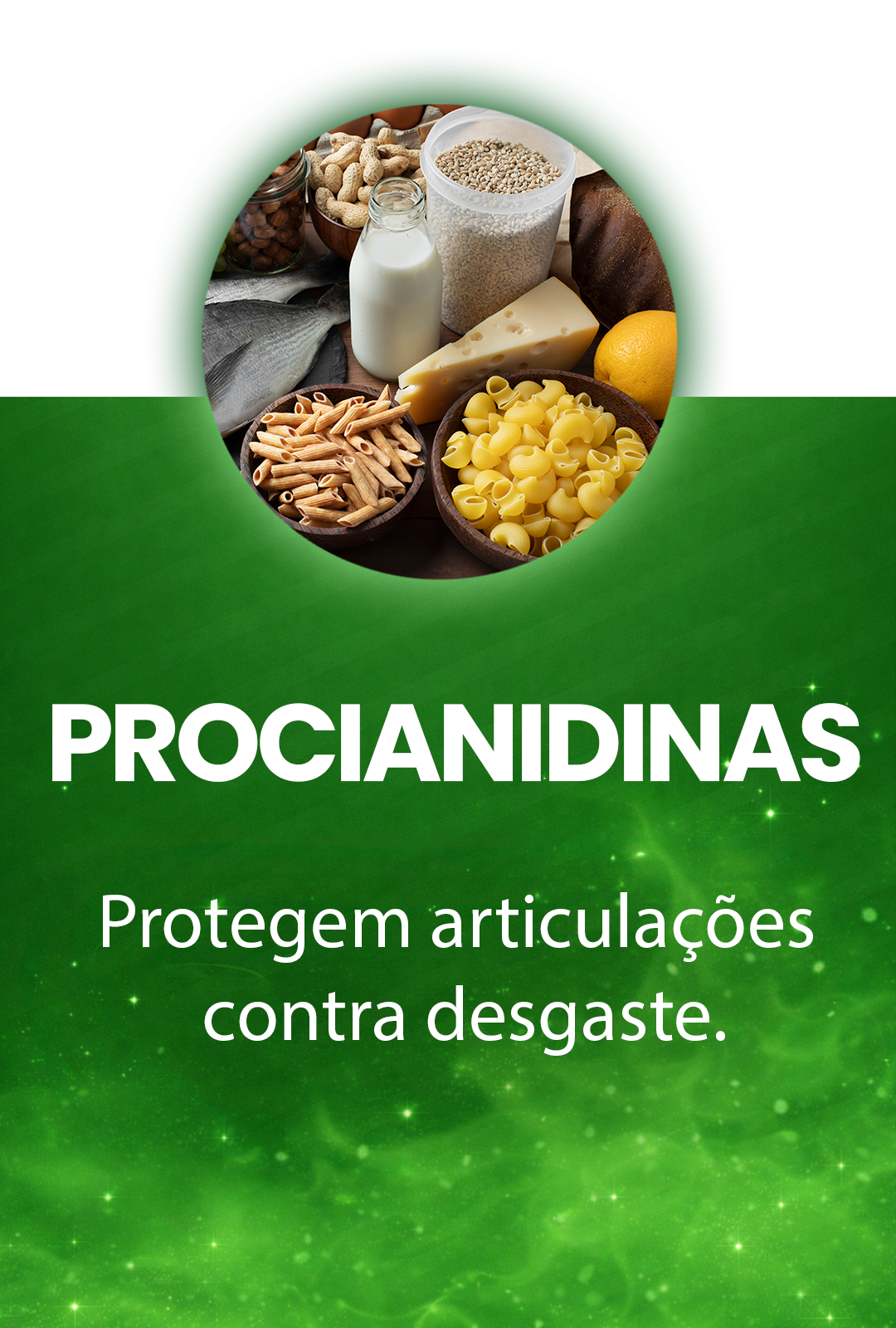 Prancheta 1-4